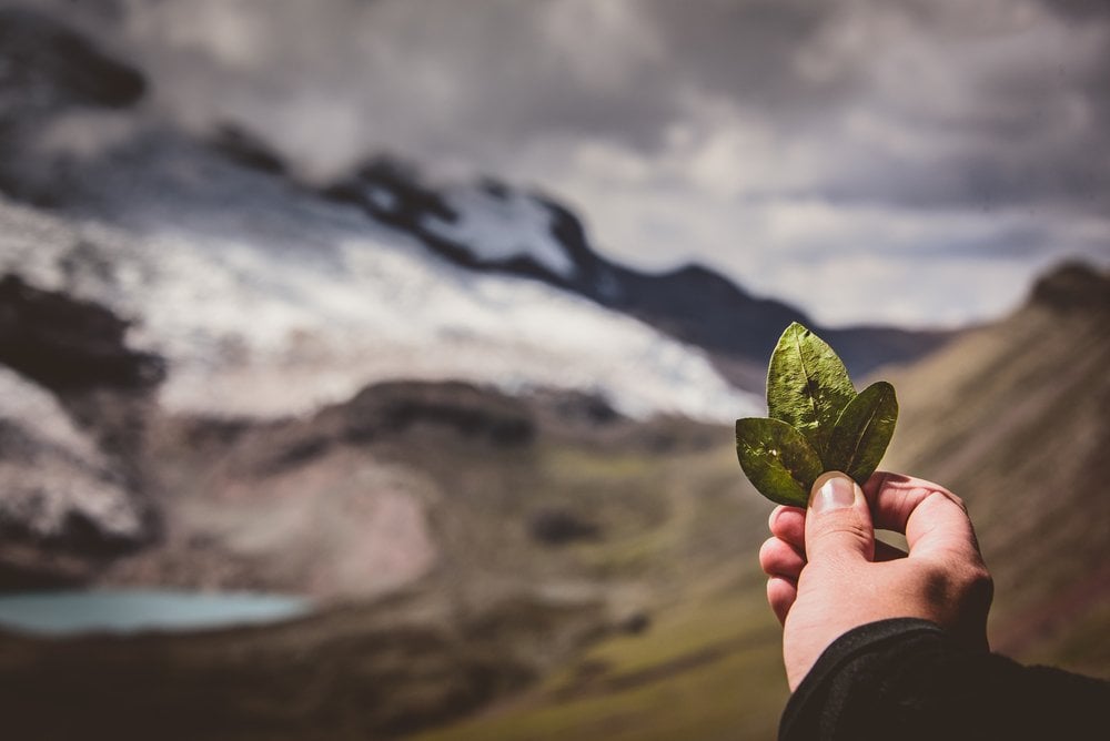 Un D A De La Pachamama Triste Los Recursos De La Tierra Para Este A O