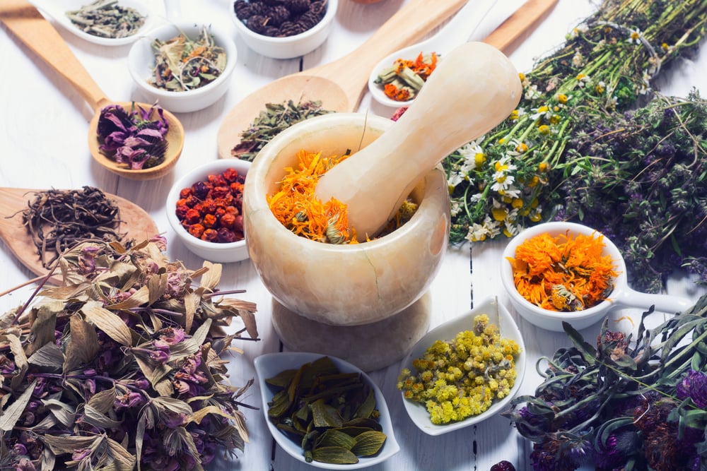 10 hierbas medicinales que no pueden faltar en tu botiquín natural