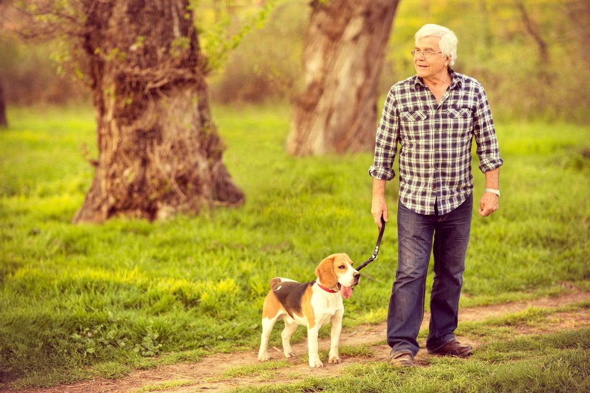 7 formas en que tu perro te hace vivir más según la ciencia Bioguia