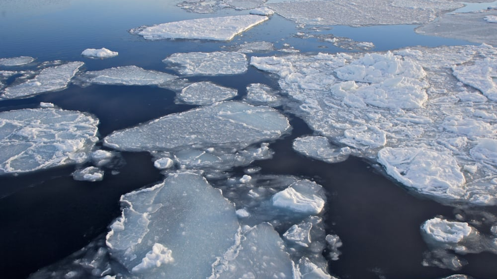 Un Fen Meno Sin Precedentes La Ant Rtida Perdi Un Trozo De Hielo