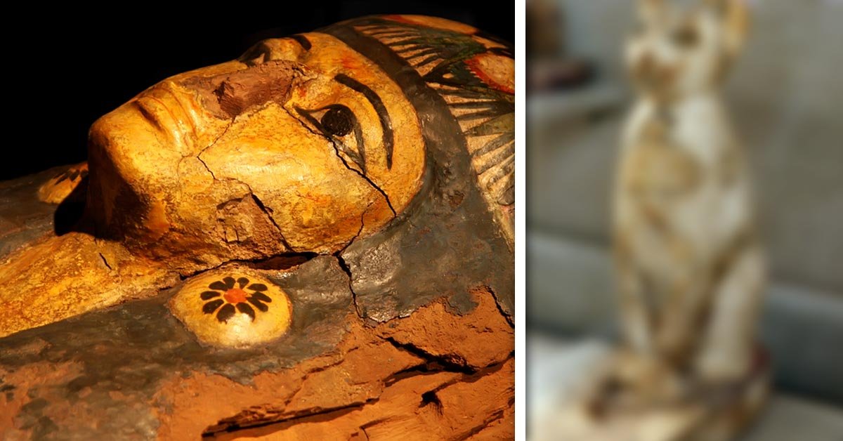 Encuentran Decenas De Momias De Gatos En Tumbas De Egipto Qu