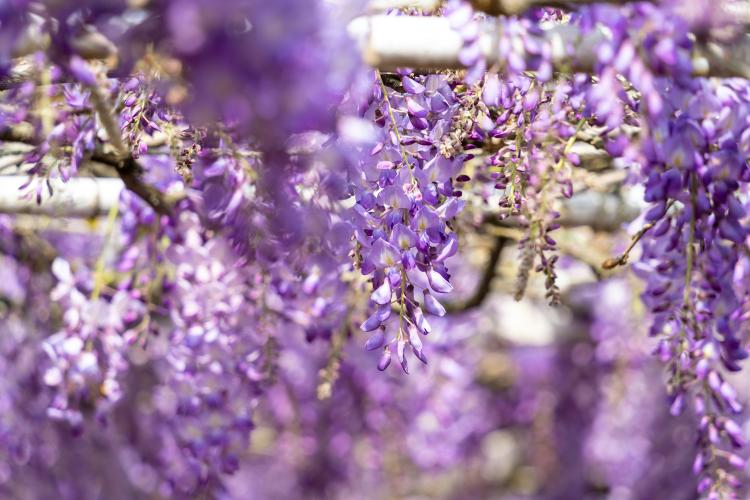 winston chen DC0Yp0bW8sY unsplash winston chen DC0Yp0bW8sY unsplash