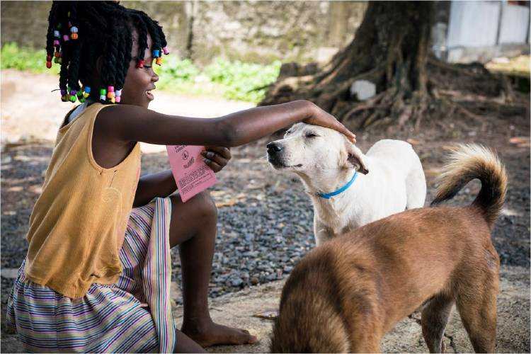 Life´s Better With Dogs Life´s Better With Dogs