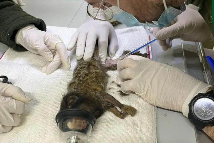 mono operación mono operación