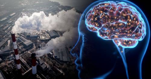 Estudio vincula la contaminación del aire con la pérdida de memoria en los jóvenes
