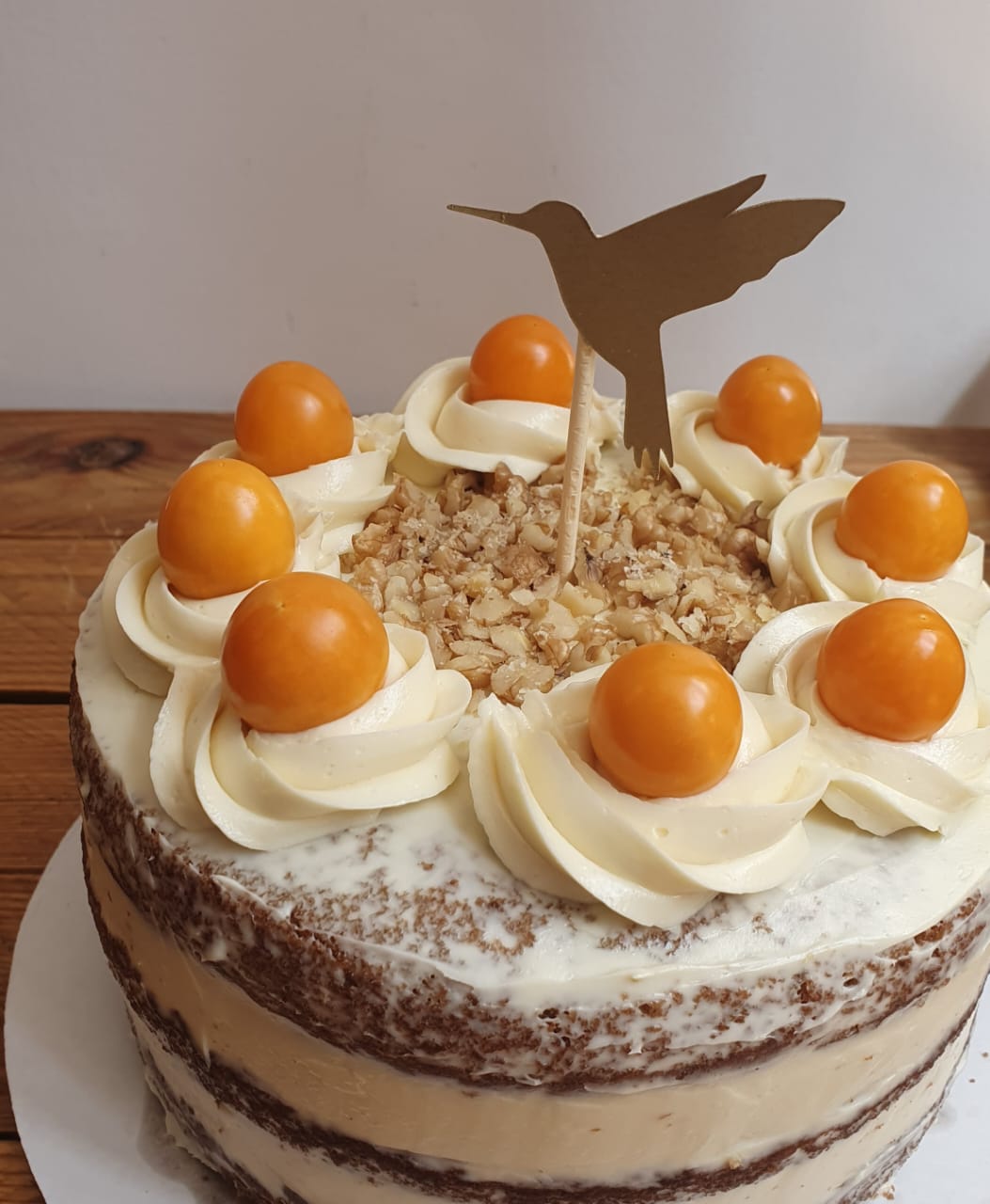 Colibri_de_los_andes_aricoma Colibri_de_los_andes_aricoma