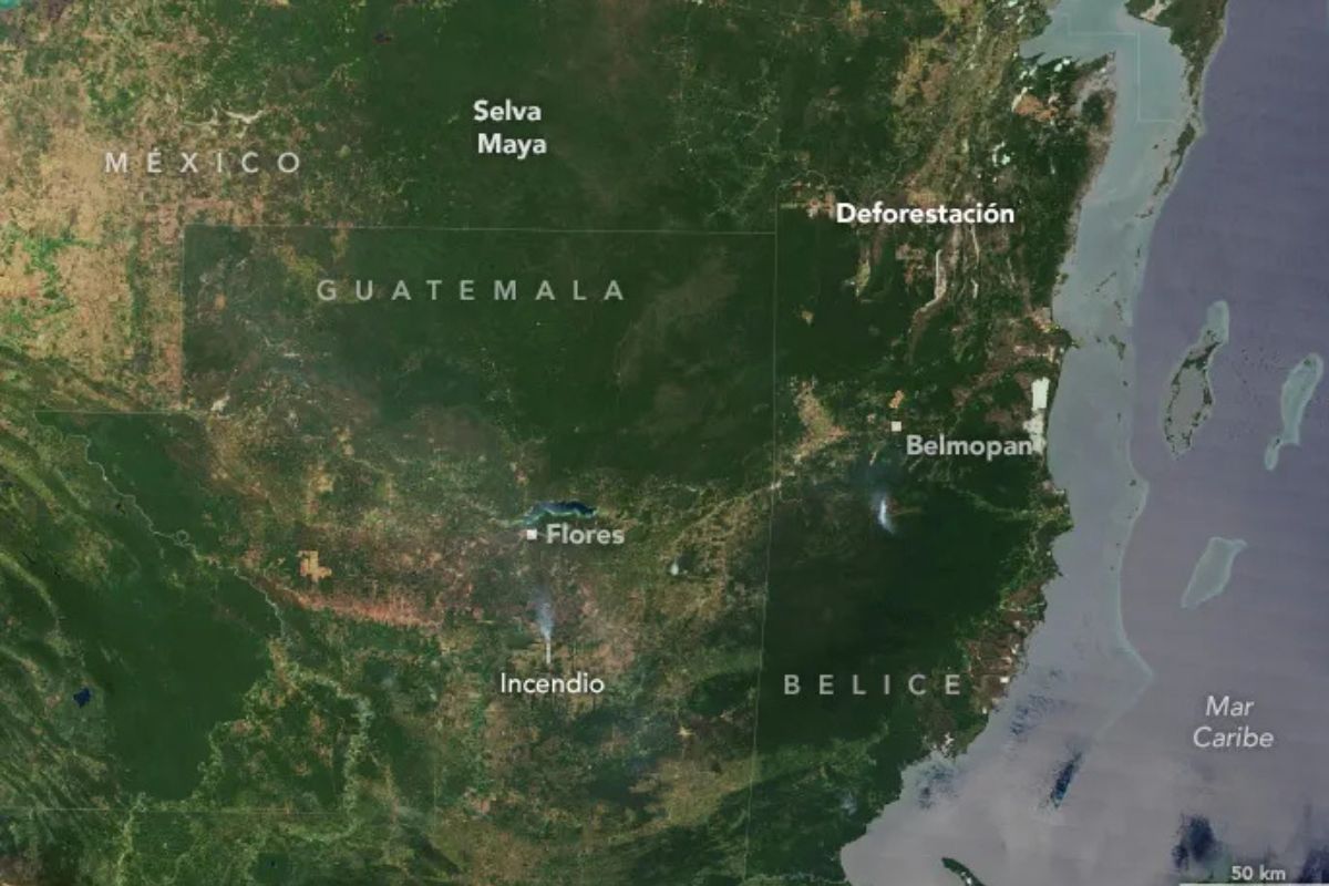 selva maya Izquierda: 27 de marzo de 2000 | Derecha: 11 de febrero de 2024