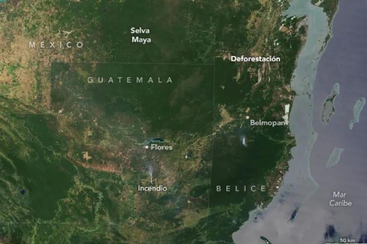 selva maya Izquierda: 27 de marzo de 2000 | Derecha: 11 de febrero de 2024