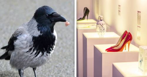 6 cosas unicas de algunos paises 6 cosas unicas de algunos paises