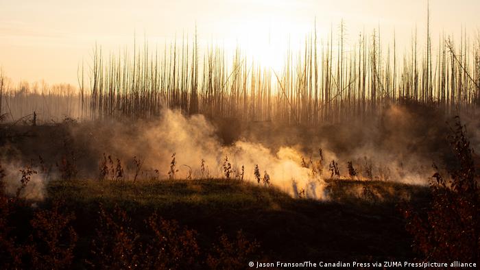 68385205_303 68385205_303