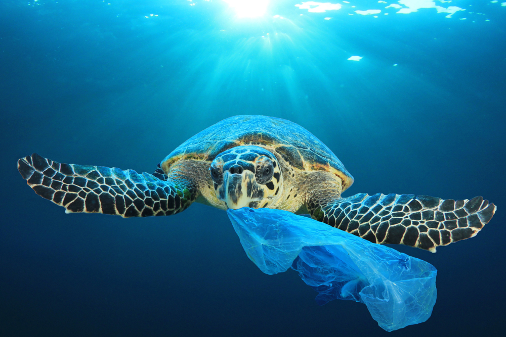 Se ha triplicado el plástico en el océano atlántico