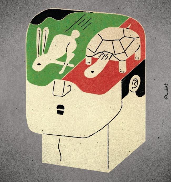 cerebro cerebro