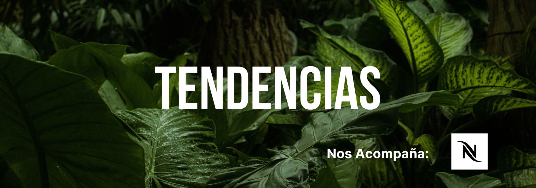 TENDENCIAS NESPRESSO 2024 TENDENCIAS NESPRESSO 2024