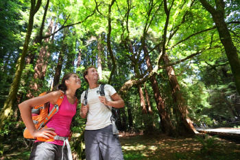 shutterstock_251245693 shutterstock_251245693