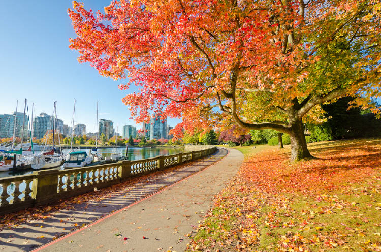 parque en vancouver canadá