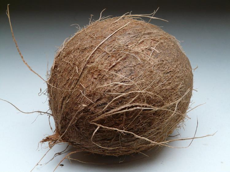 jardinería fibra de coco