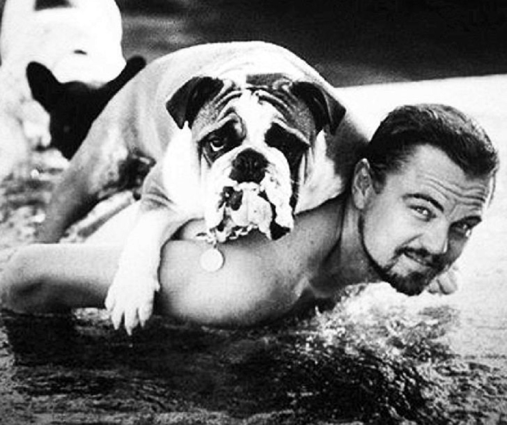 Leonardo DiCaprio Leonardo DiCaprio