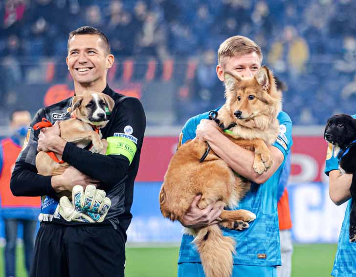 rusia perros futbol rusia perros futbol