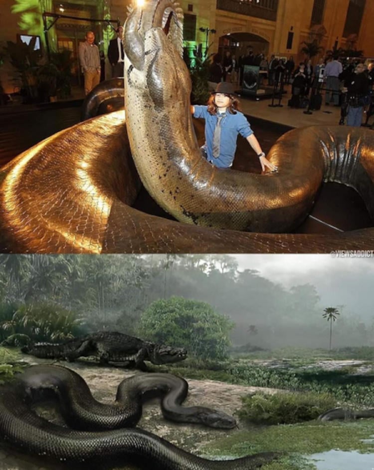 TITANOBOA_2 TITANOBOA_2