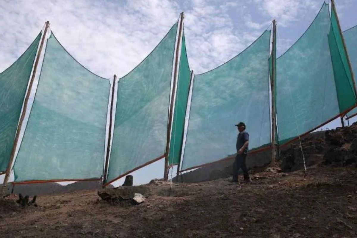 mallas Atrapanieblas: agua limpia de la neblina para comunidades vulnerables. (latinus.us)