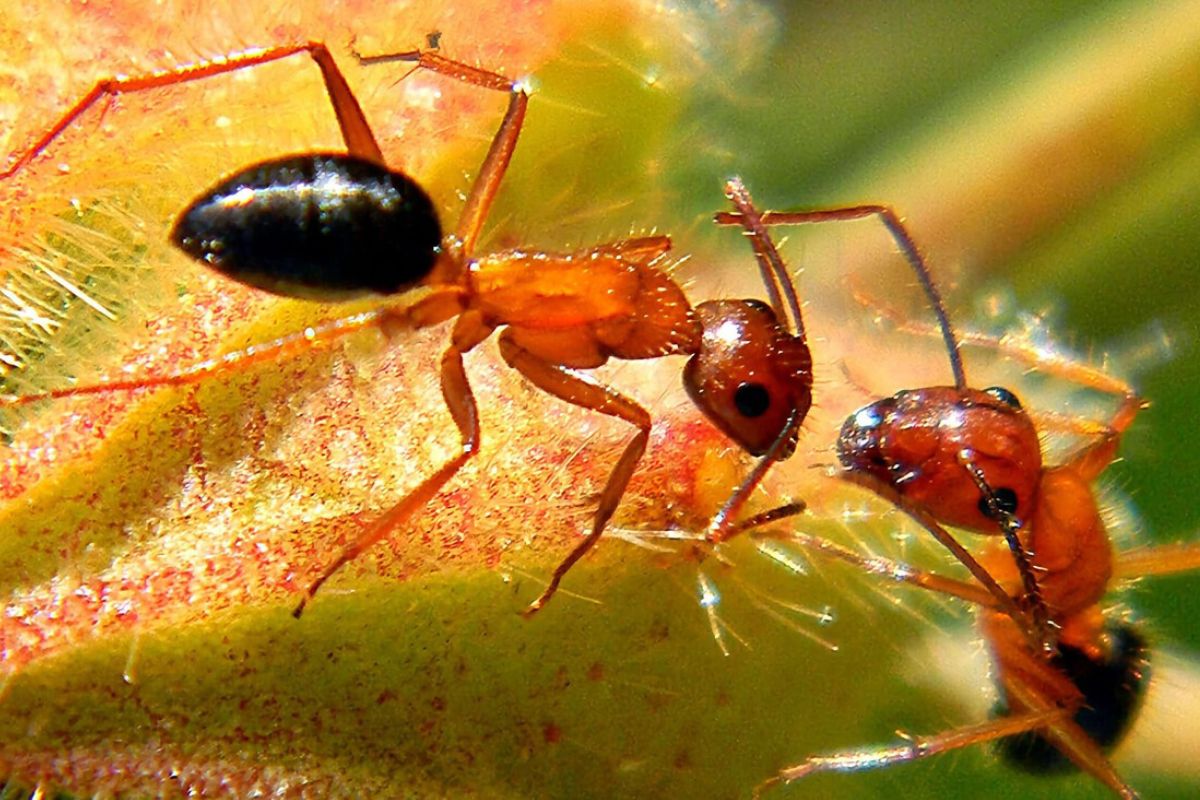 Imagen: www.xataka.com