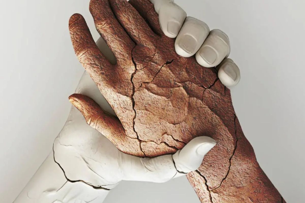 Concierto Amaral, Arde Bogotá, Bisbal, Dani Fernández y más artistas harán un concierto solidario en Madrid