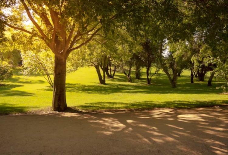 parque parque