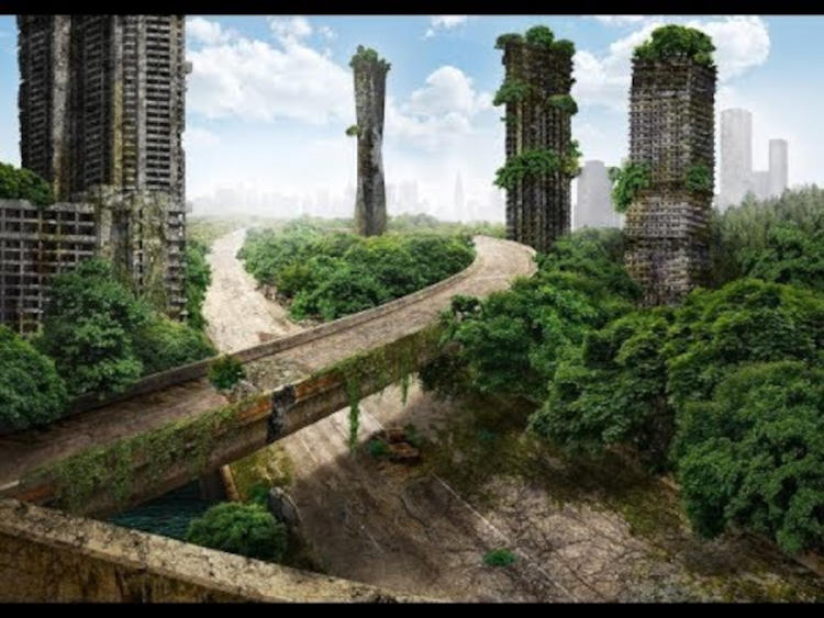 tierra sin humanos 3 tierra sin humanos 3