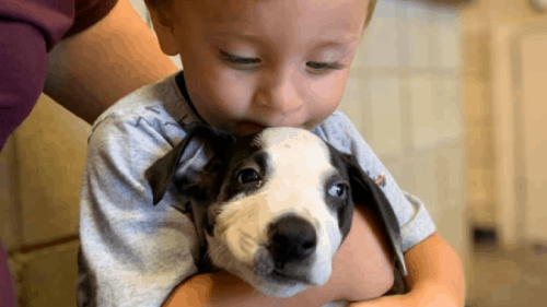 bentley and lacey cleft lip 775x533 bentley and lacey cleft lip 775x533