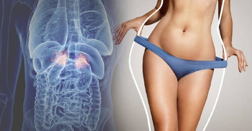Cuáles son las hormonas que te ayudan a adelgazar y cómo activarlas