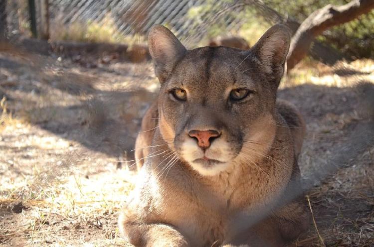 unknown_301598638_630693501959998_7540423415242689886_n unknown_301598638_630693501959998_7540423415242689886_n