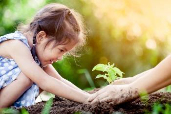Una niña planta un árbol