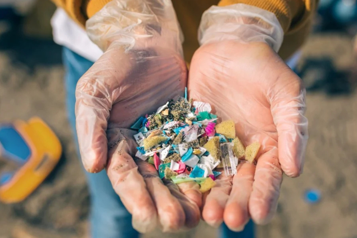 Durante años, los microplásticos —fragmentos de menos de 5 milímetros provenientes de envases, textiles y cosméticos— fueron detectados en océanos, alimentos y hasta en la nieve del Ártico. 