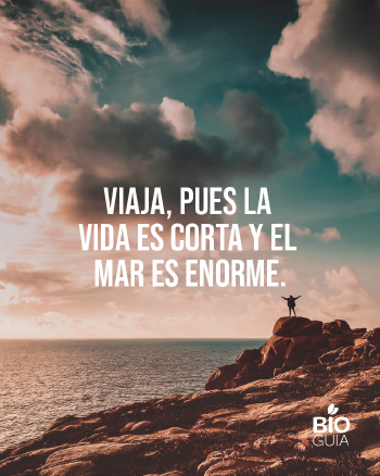 Frases para web (9) Frases para web (9)