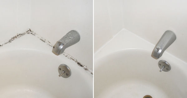 Tips y remover moho del baño | Bioguia