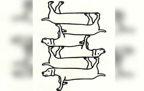 Reto visual Reto visual