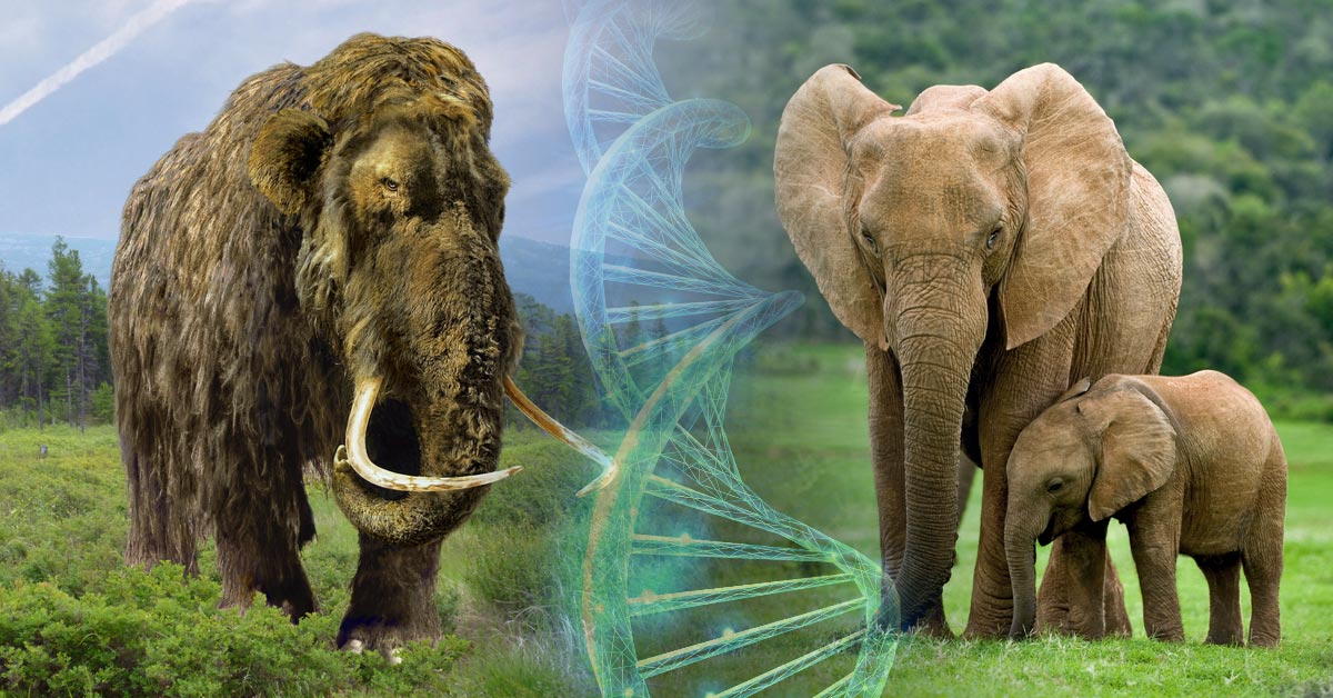 resucitar especies extintas podria ser posible resucitar especies extintas podria ser posible