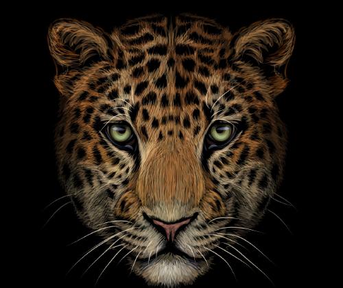 Yaguareté Animales en extinción