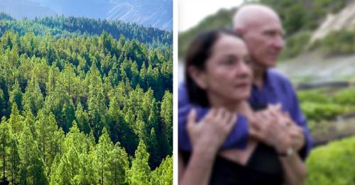 Este reconocido fotógrafo plantó 2 millones de árboles para reforestar su pueblo