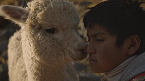 68258113_906 68258113_906