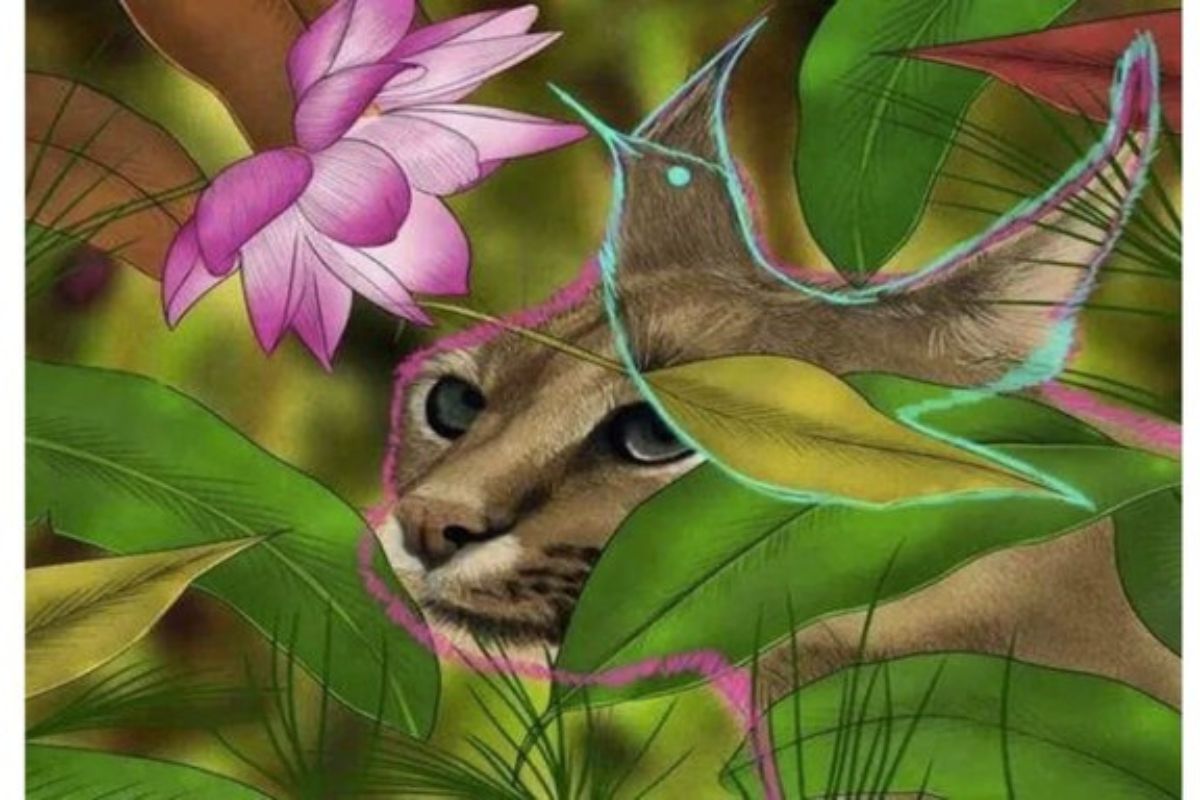 Acertijo visual Resultado del acertijo