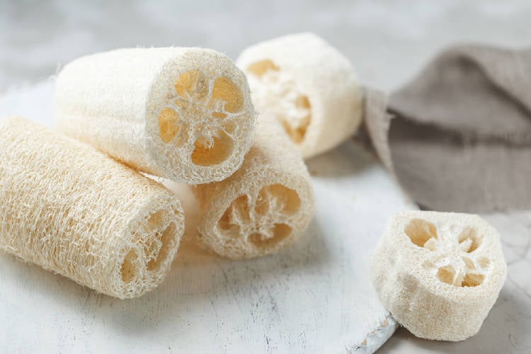 esponja luffa esponja de luffa una opcion sustentable y consciente para la cocina y la ducha