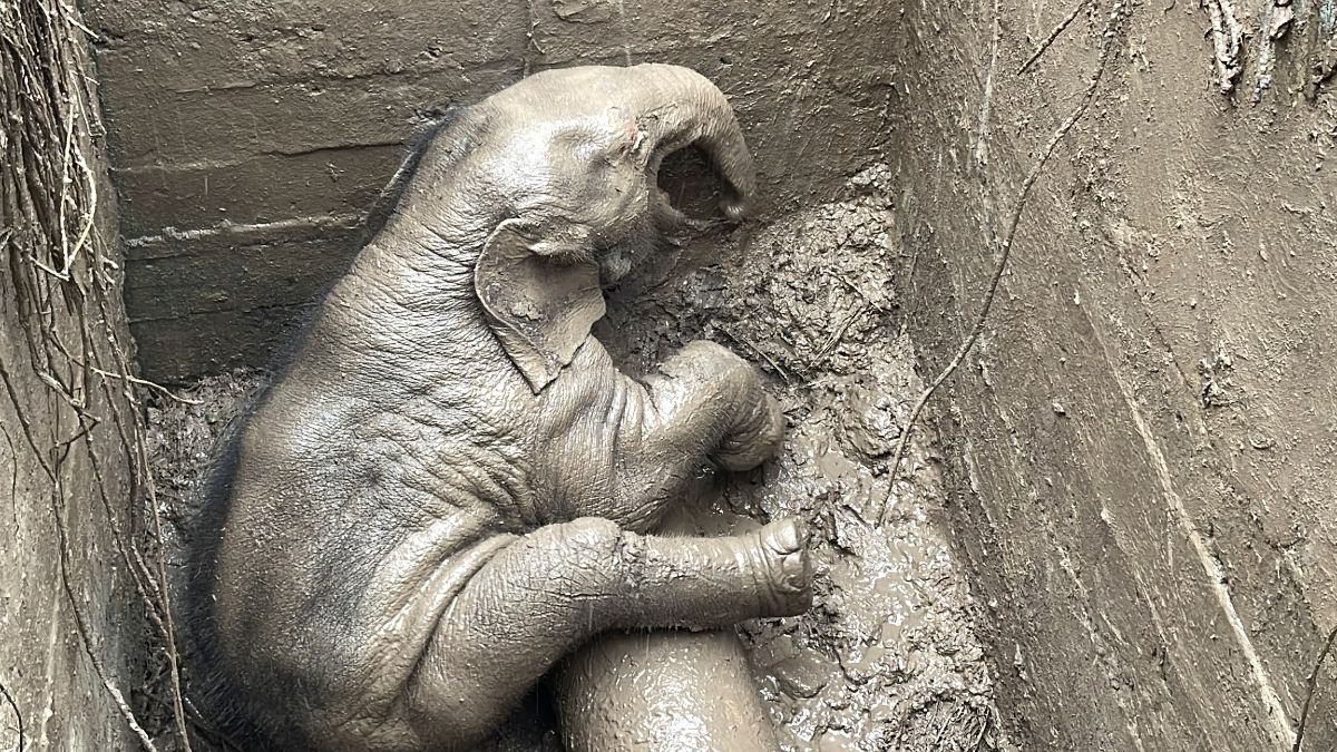 Foto: Reuters Foto: Reuters