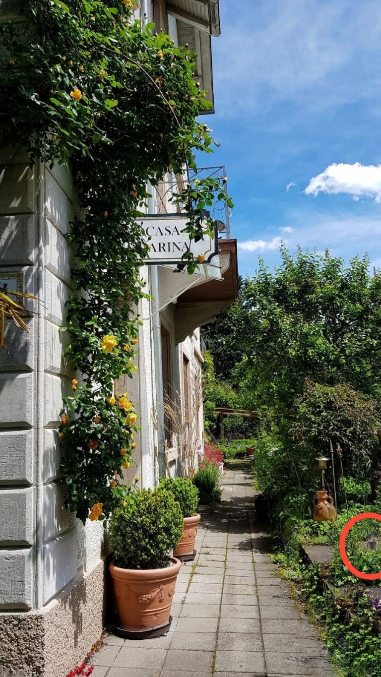 acertijo-solucion acertijo-solucion