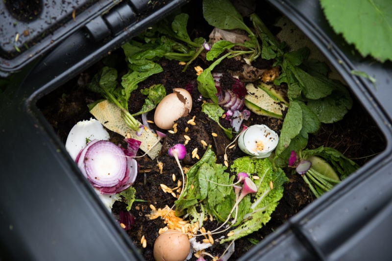 Residuos orgánicos en una compostera