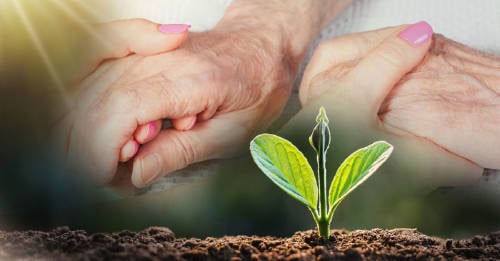 ley composta humana personas fallecidas Aprueban ley de ‘composta humana’ para convertir en abono a personas que fallecieron