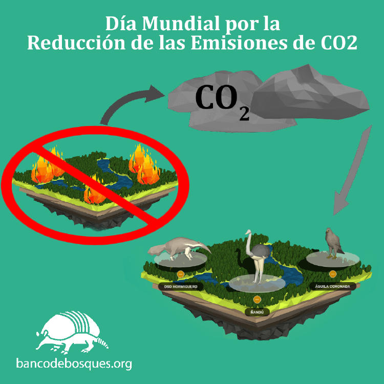 Bosques CO2