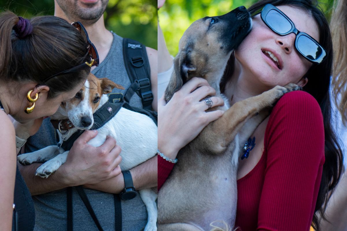 Mascotear El 4 y 5 de octubre vuelve el Festival Mascotear® a la Ciudad de Buenos Aires, un encuentro que por tercer año consecutivo combina el bienestar de los animales con la mejor diversión y entretenimiento para nuestros amigos peludos.