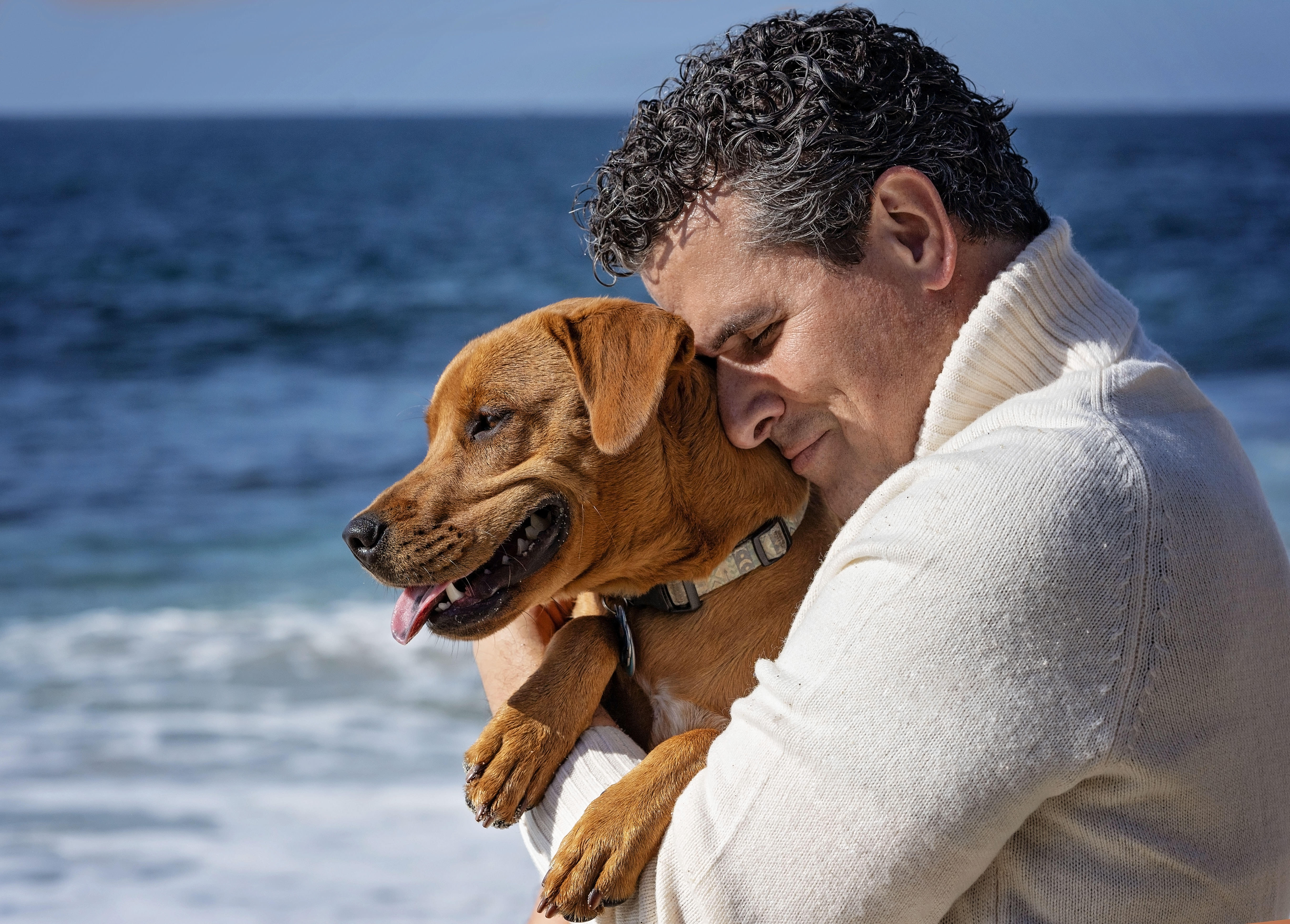 Marco Antonio Regil 3 Marco Antonio Regil 3