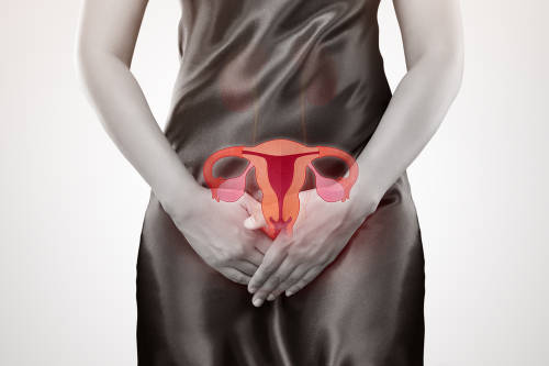 mujer sistema reproductivo